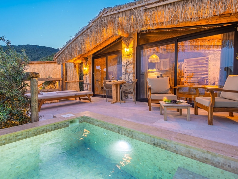 SNY3891 Enhanced NR Edit