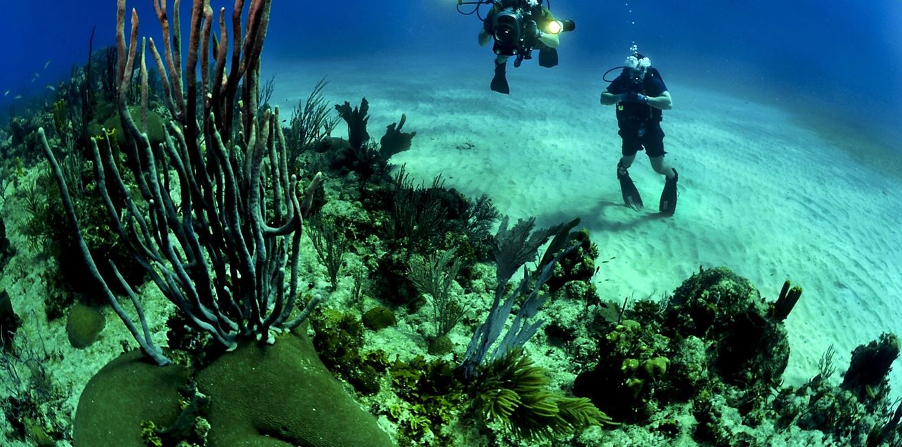 Divers 681516 1920 1